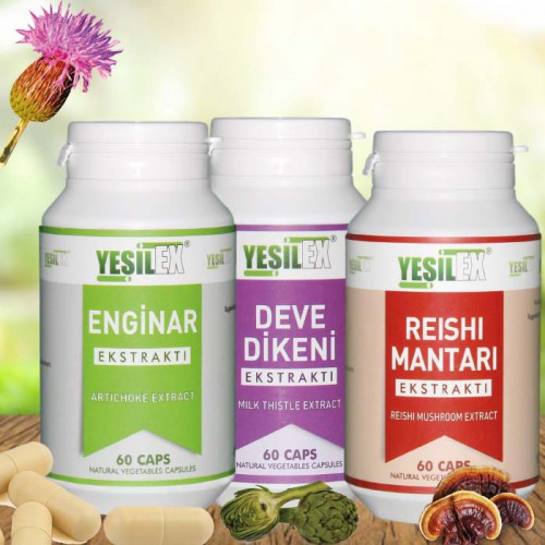 Reishi Karışımlı Set